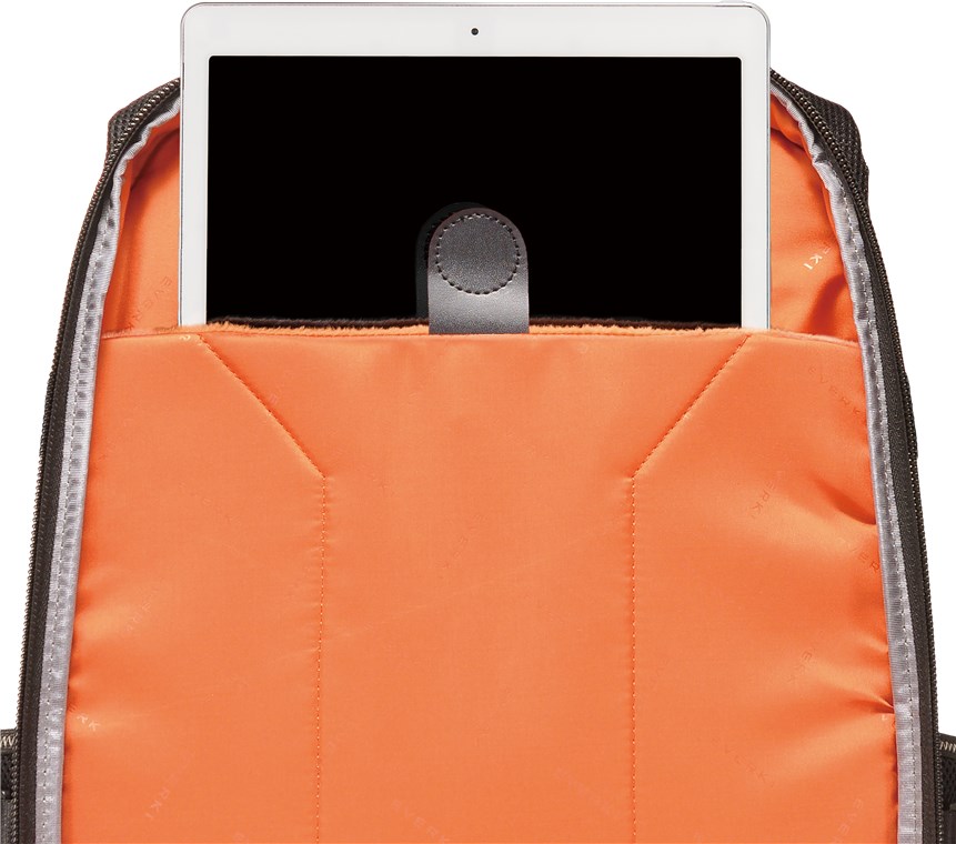 Everki Concept 2 (EKP133B) - Premium Laptop-Rucksack für Geräte bis 17,3-Zoll